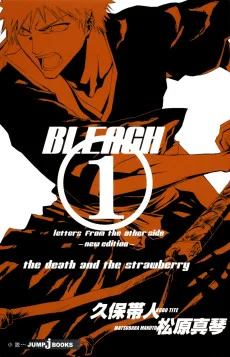 Cover image for Bleach: Letters From the Other Side (BLEACH letters from the other side)