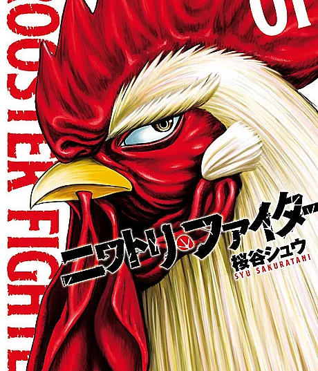 Rooster Fighter