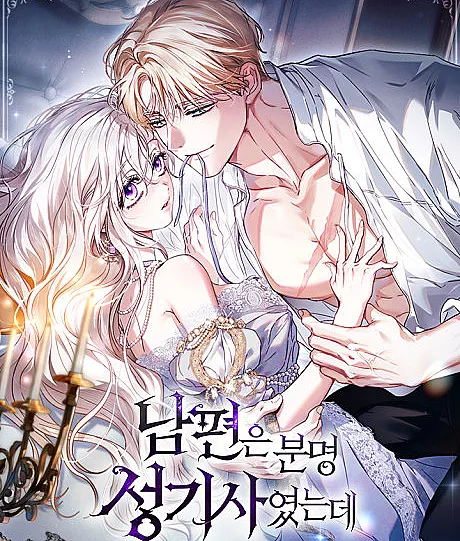Cover image for My Husband is Definitely a Holy Knight (Nampyeoneun Bunmyeong Seonggisayeonneunde; 남편은 분명 성기사였는데; My Husband Was Definitely a Paladin)