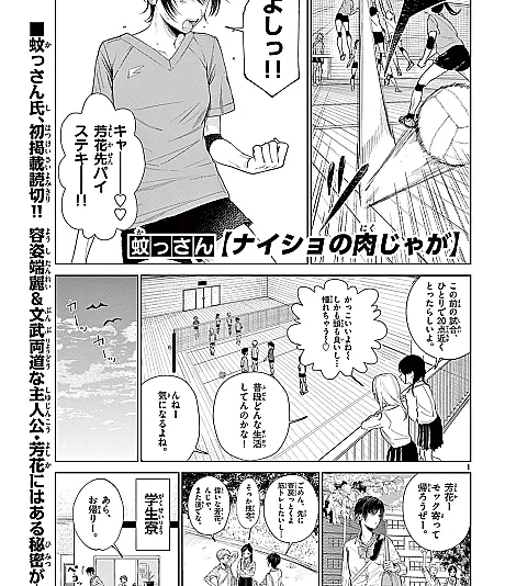 Naisho no Nikujaga