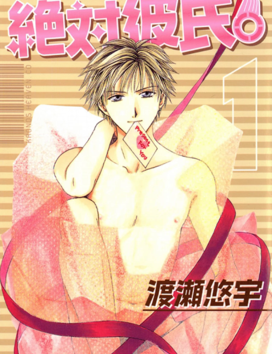 Absolute Boyfriend