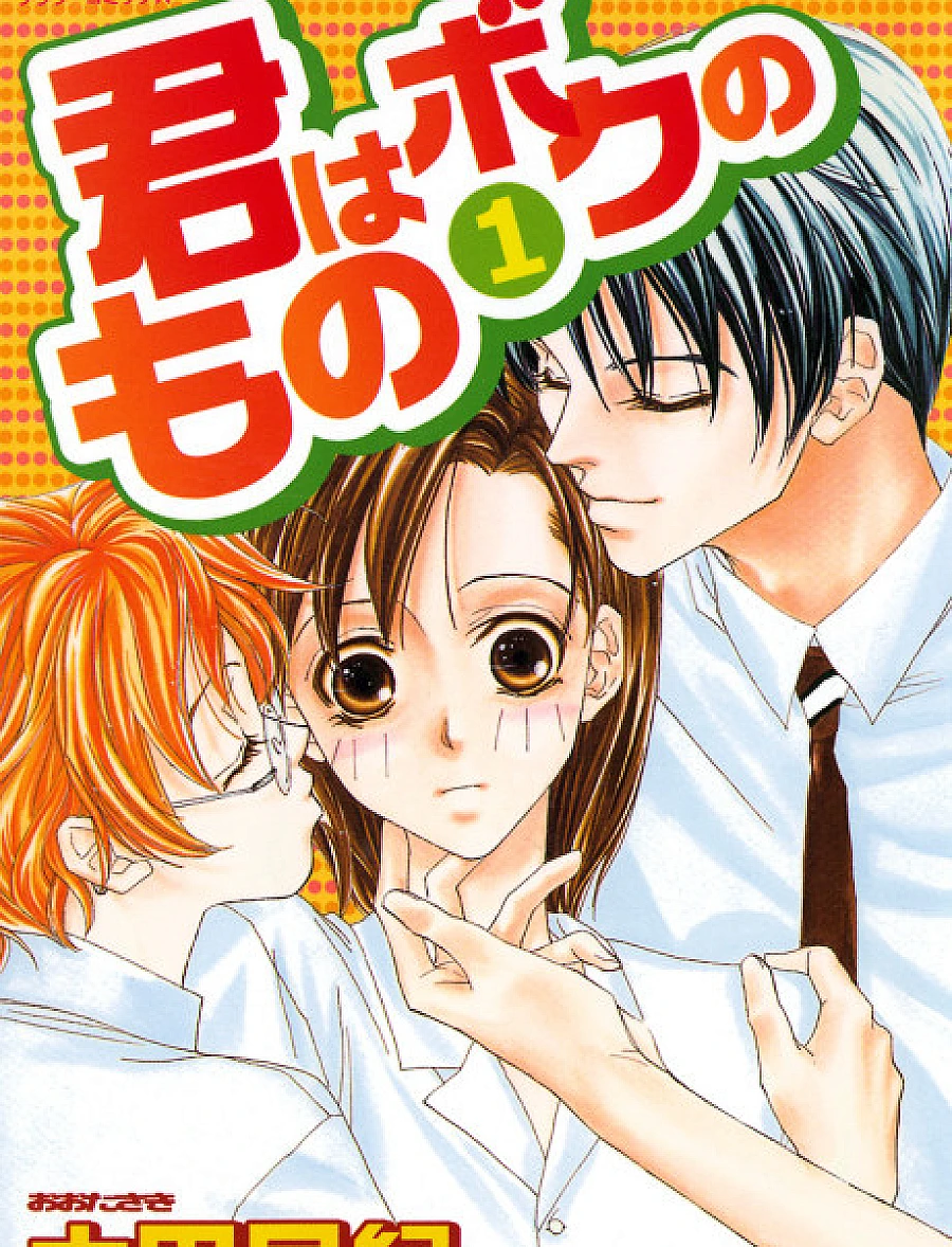 Kimi wa Boku no Mono