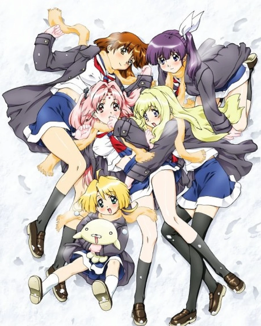 GIRLS Bravo: second season