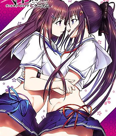 Cover image for Valkyrie Drive Bhikkhunism (Валькирия Драйв: Бхиккхунизм; Valkyrie Drive: Bhikkhunism; Varukirī Doraivu Bikunizumu; ヴァルキリードライヴ ビクニズム)