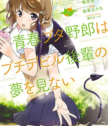 Rascal Does Not Dream of Petite Devil Kohai