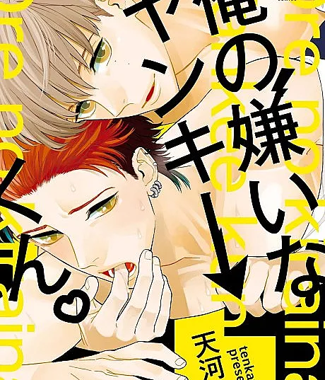 Ore no Kirai na Yankee-kun