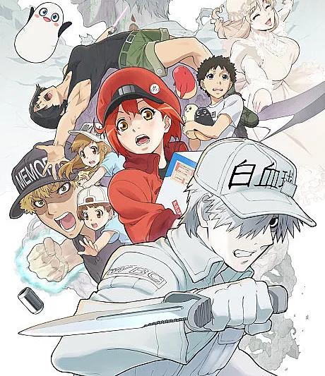 Cells at Work!!