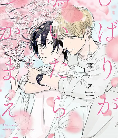 Hibari ga Naitara Tsukamaete