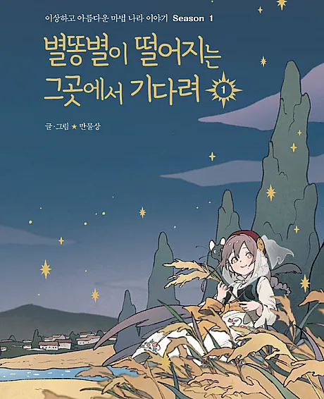 Wait Where the Shooting Star Falls
