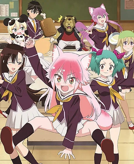 Seton Academy: Join the Pack!
