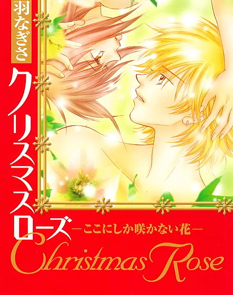 Christmas Rose