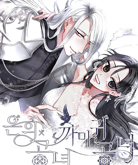 Cover image for Beauty and the Raven (Eunui Gongnyeo, Kkamagwi Gongnyeo; 은의 공녀, 까마귀 공녀; Silver Girl, Crow Girl; Fille d’argent, fille corbeau; 銀の公女、烏の公女; 銀之小姐與烏鴉小姐; Die Schöne und der Rabe)