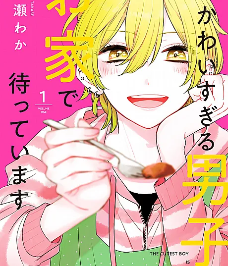 Cover image for The Cutest Boy is Waiting for Me at Home (Kawaisugiru Danshi ga Ouchi de Matteimasu; かわいすぎる男子がお家で待っています; 超绝可爱男生等我回家)