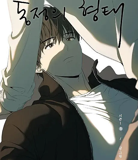 Cover image for The Shape of Sympathy (Dongjeongui Hyeongtae; 동정의 형태; Form of Sympathy; 同情的形態; 同情のカタチ; Une forme de compassion; A Form of Sympathy; La silueta de tu compasión)