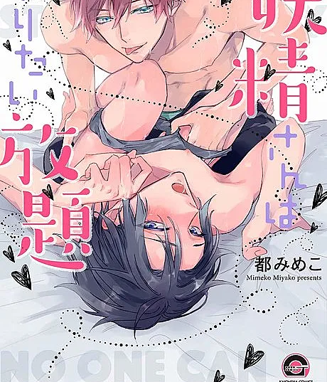 Yousei-san wa Yaritai Houdai