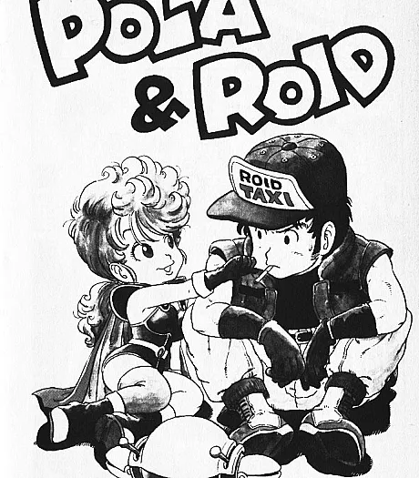 Pola & Roid
