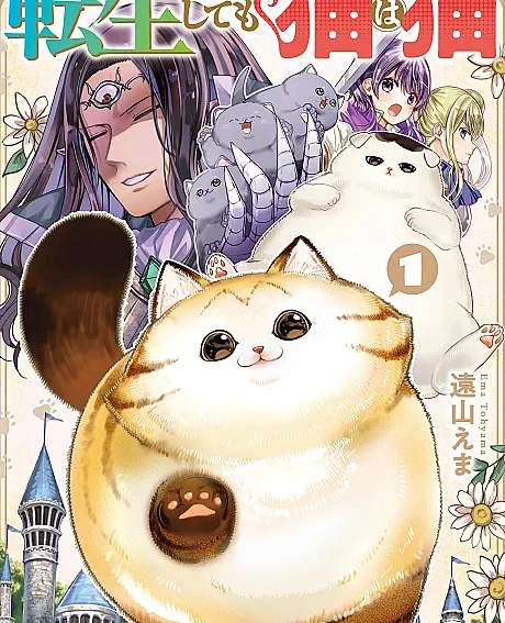 A Cat Is a Cat in Any Life