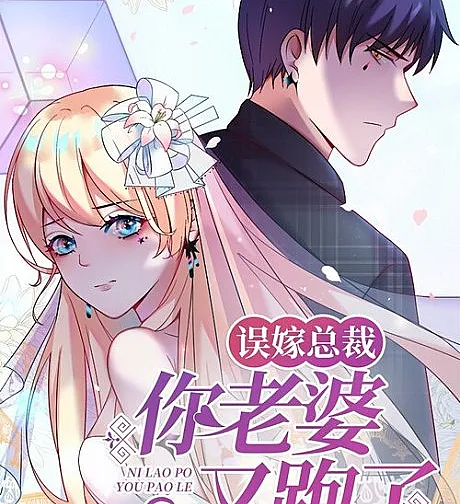 Cover image for Wu Jia Zongcai: Ni Laopo You Pao Le! (误嫁总裁：你老婆又跑了！; Mistaken Marriage With The President, Your Wife Is Gone Again; Marriage with CEO)