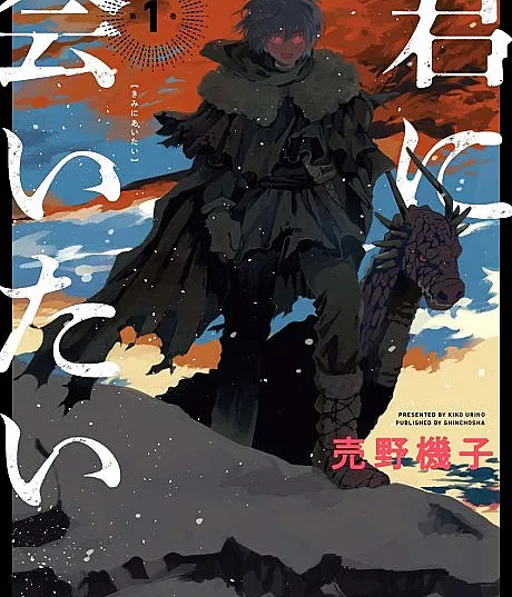 Cover image for Kimi ni Aitai (Quero Te Ver; Хочу тебя увидеть; Muốn Gặp Em; Ingin Bertemu Denganmu; Quiero verte; 君に会いたい; De Neiges et de Flammes)