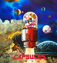 Capsule Project