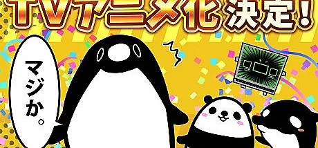 Teiko Penguin