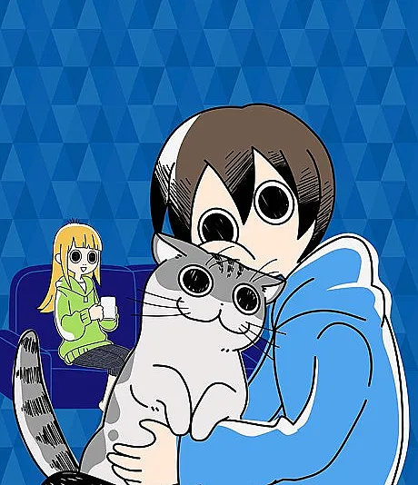 Nights with a Cat