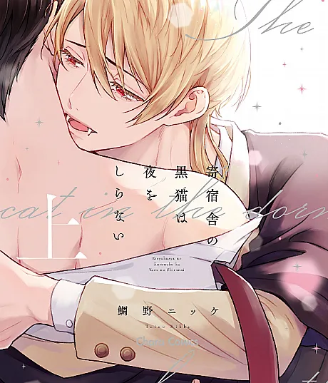 Cover image for The Black Cat & the Vampire (Kishukusha no Kuroneko wa Yoru wo Shiranai; 寄宿舎の黒猫は夜をしらない; The Black Cat in the Dormitory Doesn't Know the Night; Algo acecha en la oscuridad)