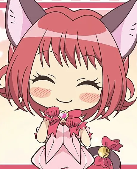 Mini Tokyo Mew Mew New~