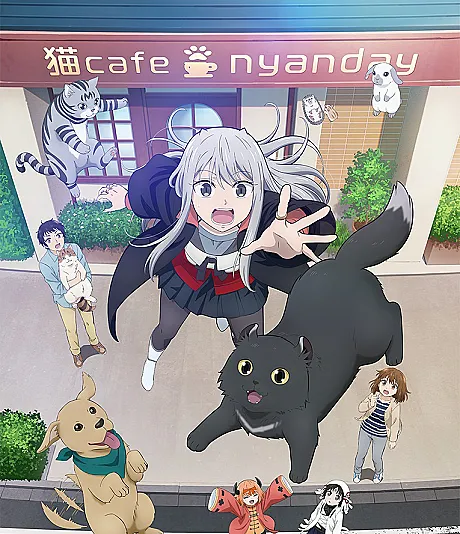 TOO CUTE CRISIS