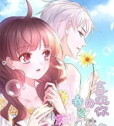 Love in Four Seasons