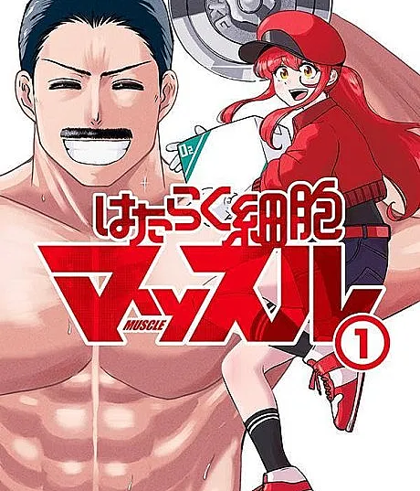 Hataraku Saibou Muscle