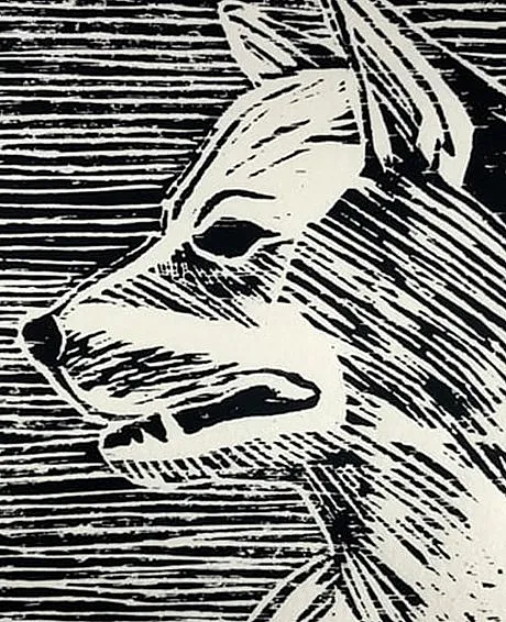 A DOG