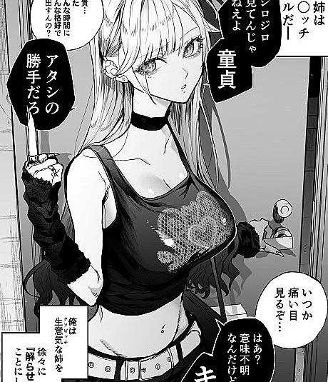 Namaiki na Gal Ane wo Ore no Houhou de Wakaraseru Koto ni Shita Hi
