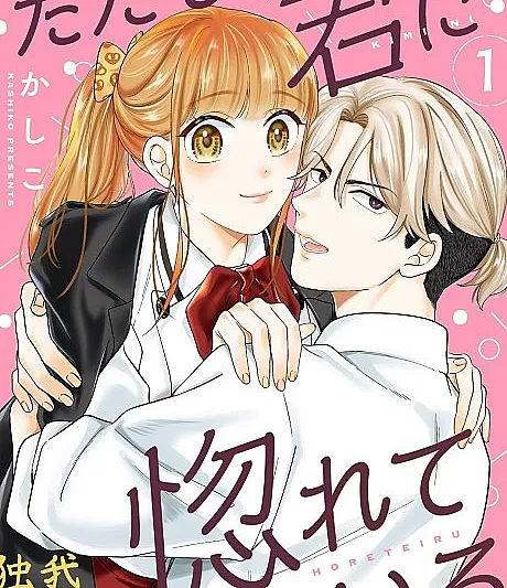 Tadashi, Kimi ni Horeteiru