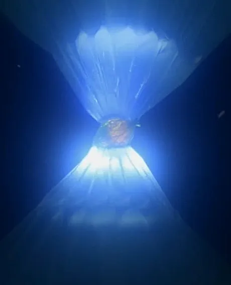 Luka and the Flower of the Sun