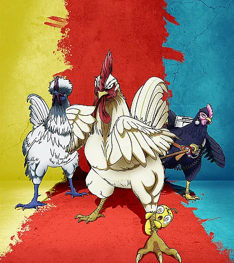 Rooster Fighter