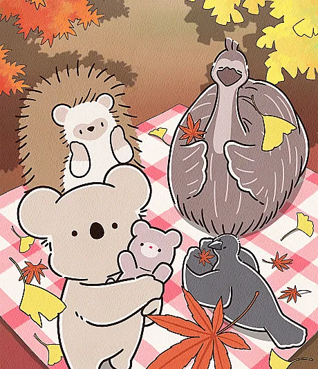 Koala's Diary