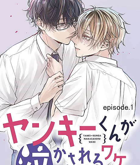 Yankee-kun ga Nakasareru Wake