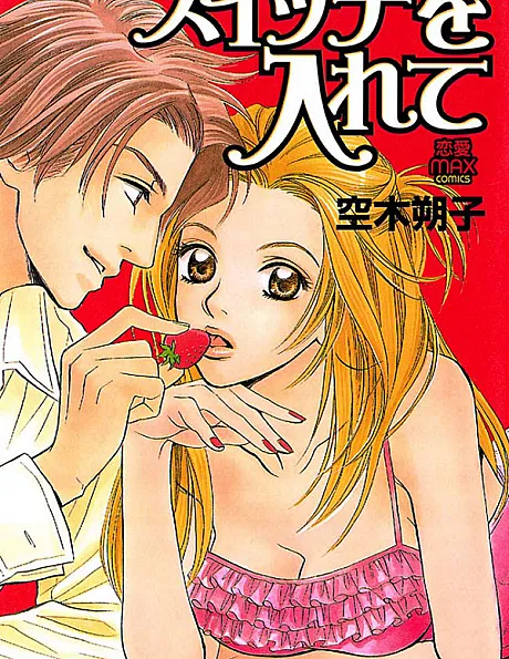 Cover image for Switch wo Irete (スイッチを入れ?; Suicchi wo Irete; Sensual Trigger)