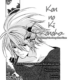 Kon no Ki Konoha