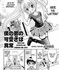 Boku no Otouto no Kawaisa wa Ijou