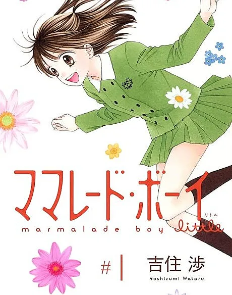 Marmalade Boy Little