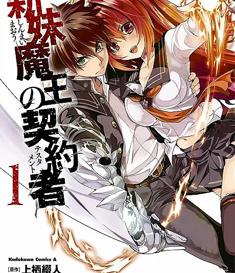 The Testament of Sister New Devil