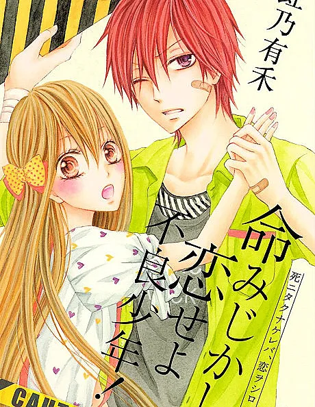 Inochi Mijikashi, Koiseyo Furyou Shounen!