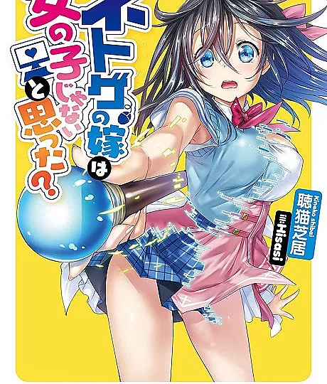 Netoge no Yome wa Onnanoko ja Nai to Omotta?