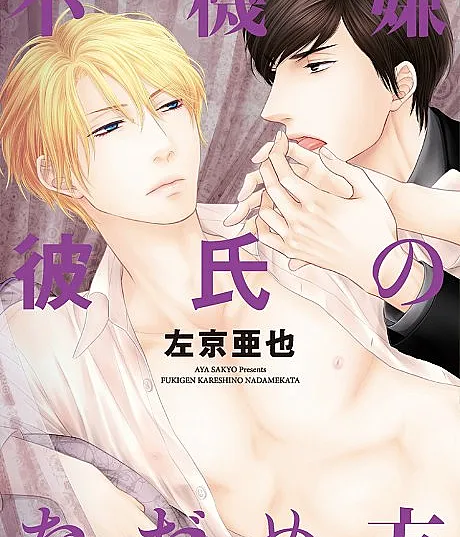 Fukigen Kareshi no Nadamekata