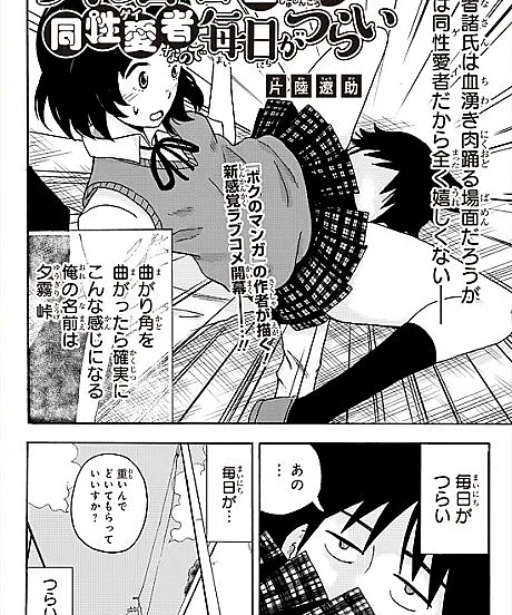 Harem Manga no Shujinkou daga Gay nano de Mainichi ga Tsurai
