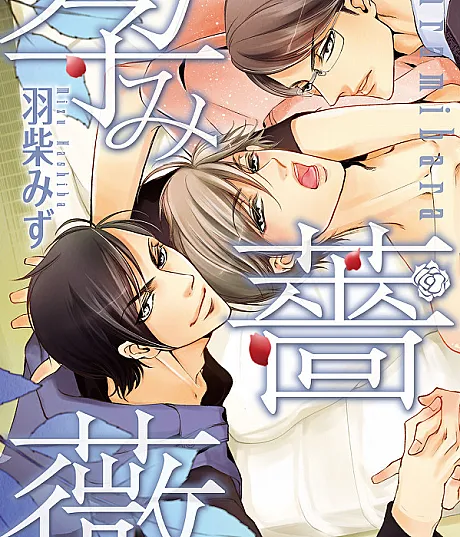 Harami Bara
