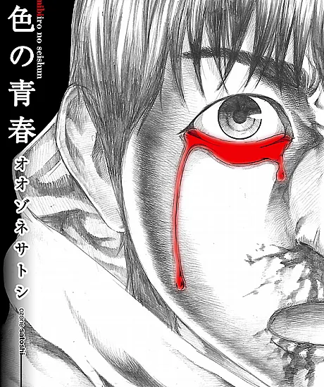 Nibiiro no Seishun