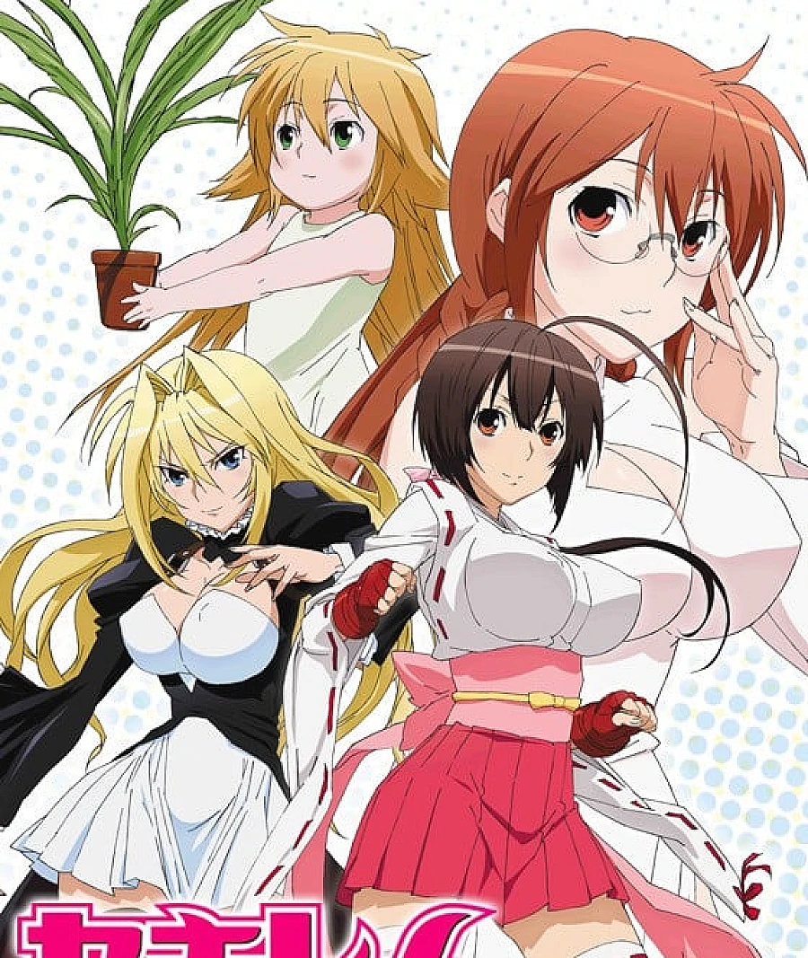 鹡鸰女神